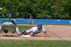 Baseball vs Babson  Wheaton College Baseball vs Babson during Championship game of the NEWMAC Championship hosted by Wheaton. - (Photo by Keith Nordstrom) : Wheaton, baseball, NEWMAC